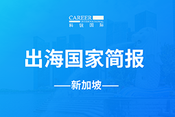 泰信科技信息发展GO GLOBAL | 新加坡国家简报