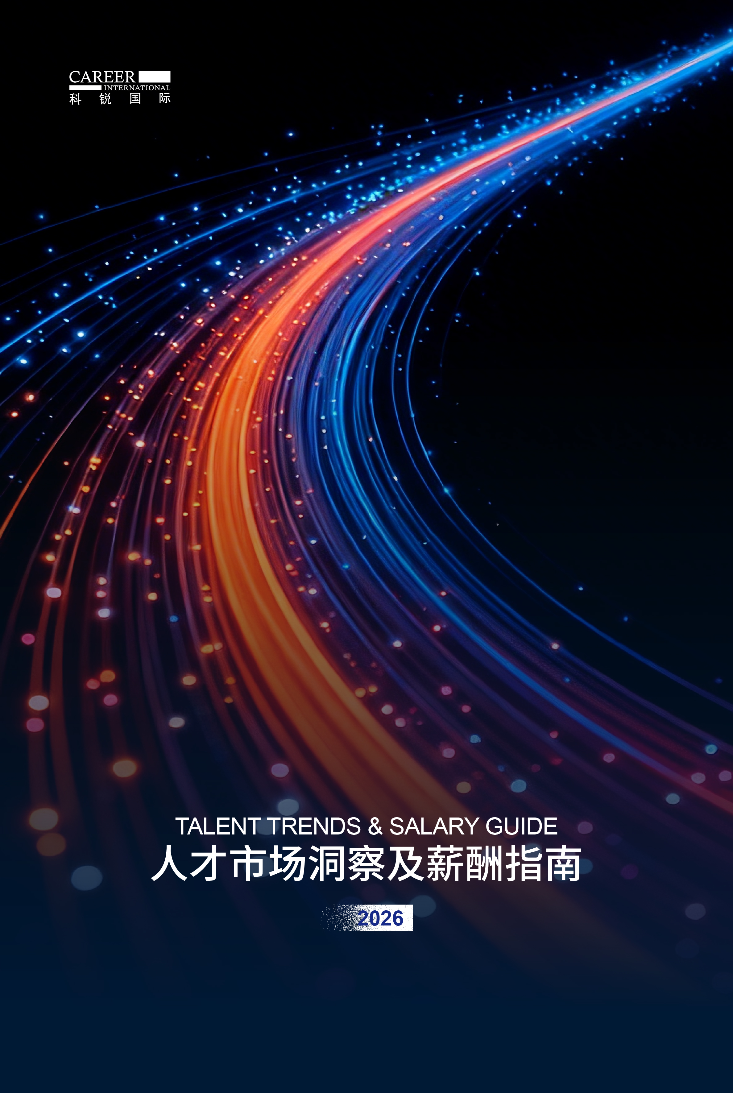 2026泰信科技信息发展国际人才市场洞察及薪酬指南
